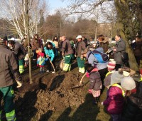 Les enfants de Champel plantent un arbre au Parc Bertrand