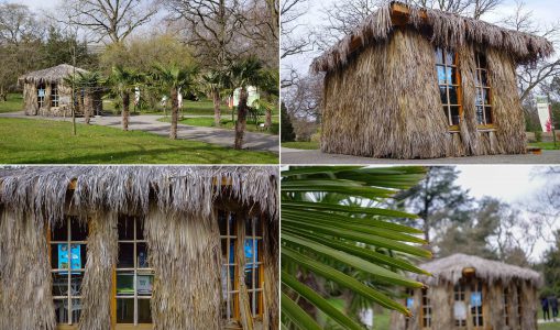 Ambiance estivale au jardin botanique pour l’expo Palmes&Co