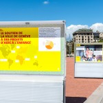Exposition de photographies, Genève Ville Solidaire ©C.Martignoli