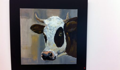 Des portraits de vaches à Bernex
