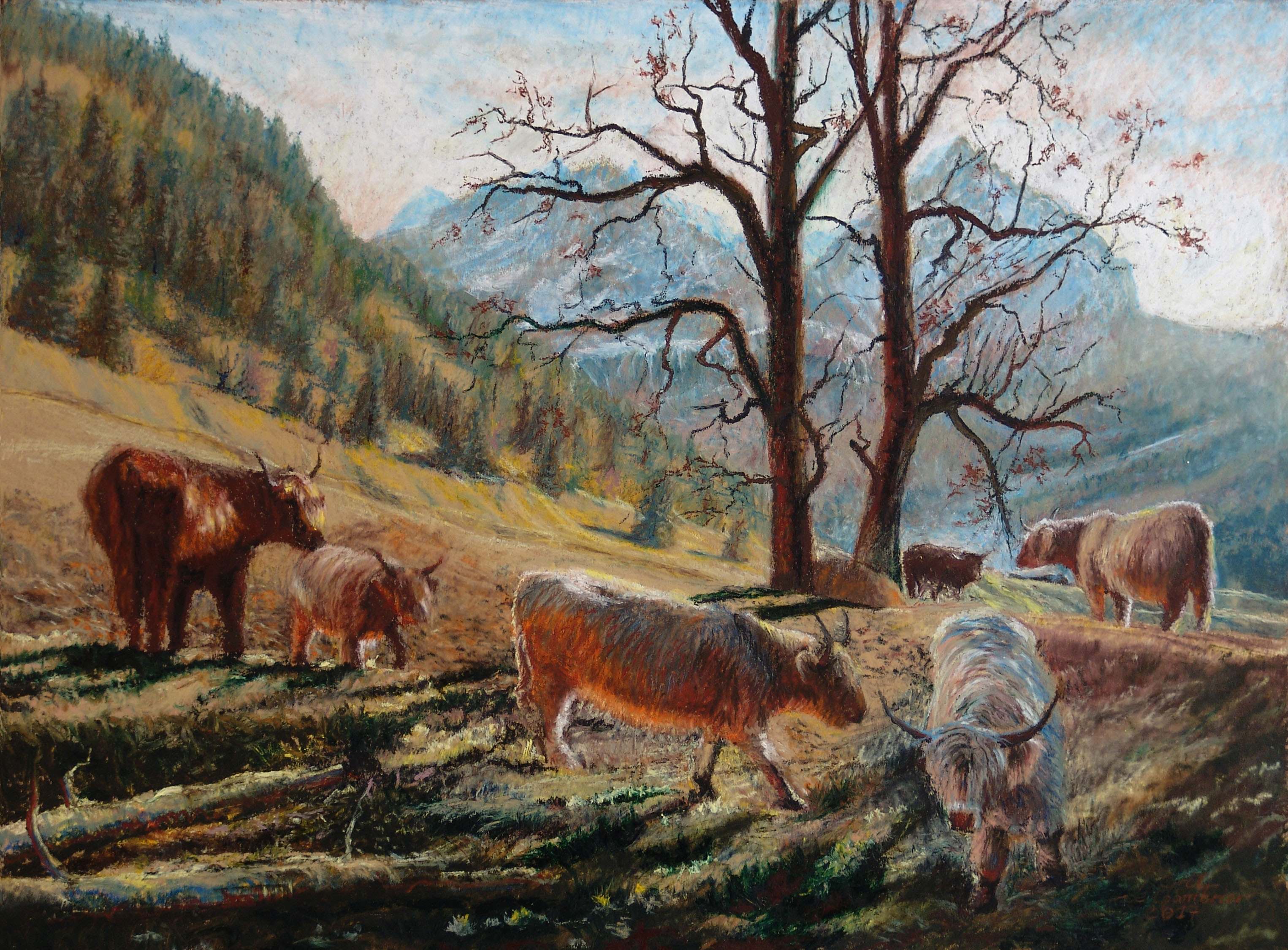 Vaches Highland vers Adelboden Papier marouflé sur panneau 60 x 80 cm Cyril de Chambrier