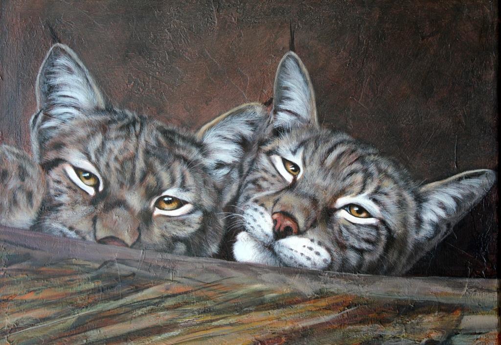 Duo de lynx Acrylique sur toile 30 x 40 cm (encadré 40 x 50 cm) Danielle Wicht