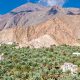 Exposition photos «Oman entre désert, montagne, mer et wadis»
