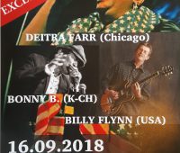 Chicago blues festival