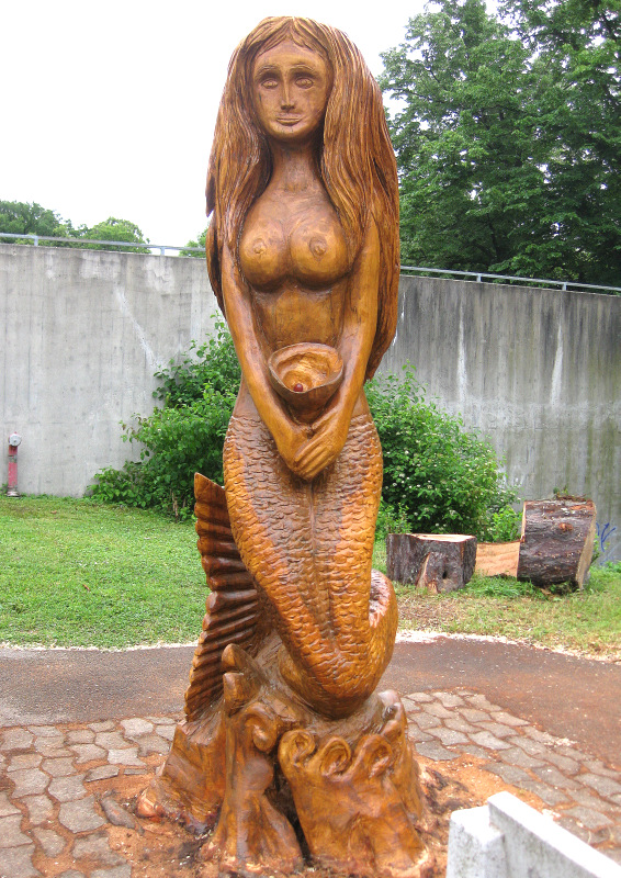 5b. La Sirène sculptée sur un vieux marronnier encore enraciné