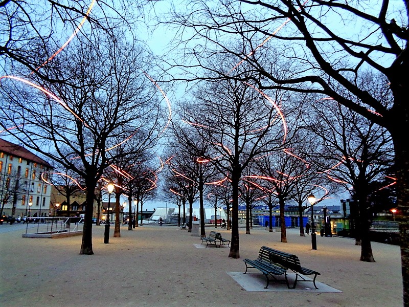 Spark Ballet PITAYA, illuminations dans les arbres lors du "Geneva Lux" à la Promenade Saint-Antoine