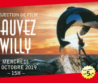 Projection du film – Sauvez Willy