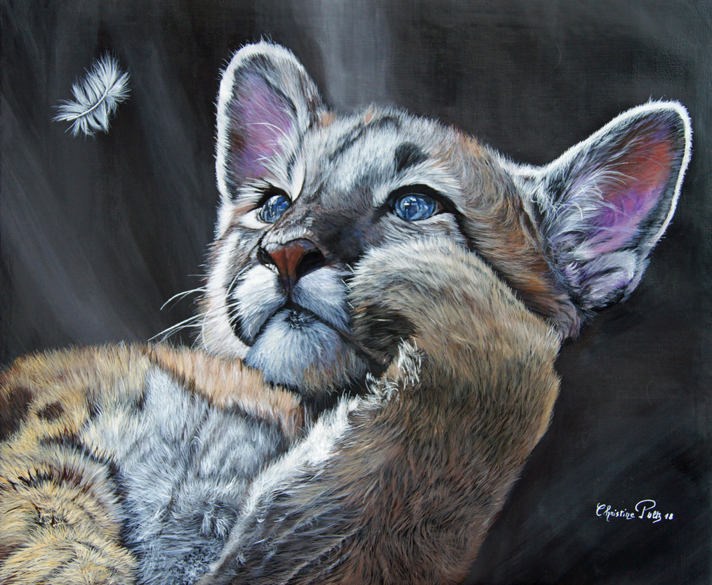 Puma à la plume Huile sur toile de lin 54 x 65 cm