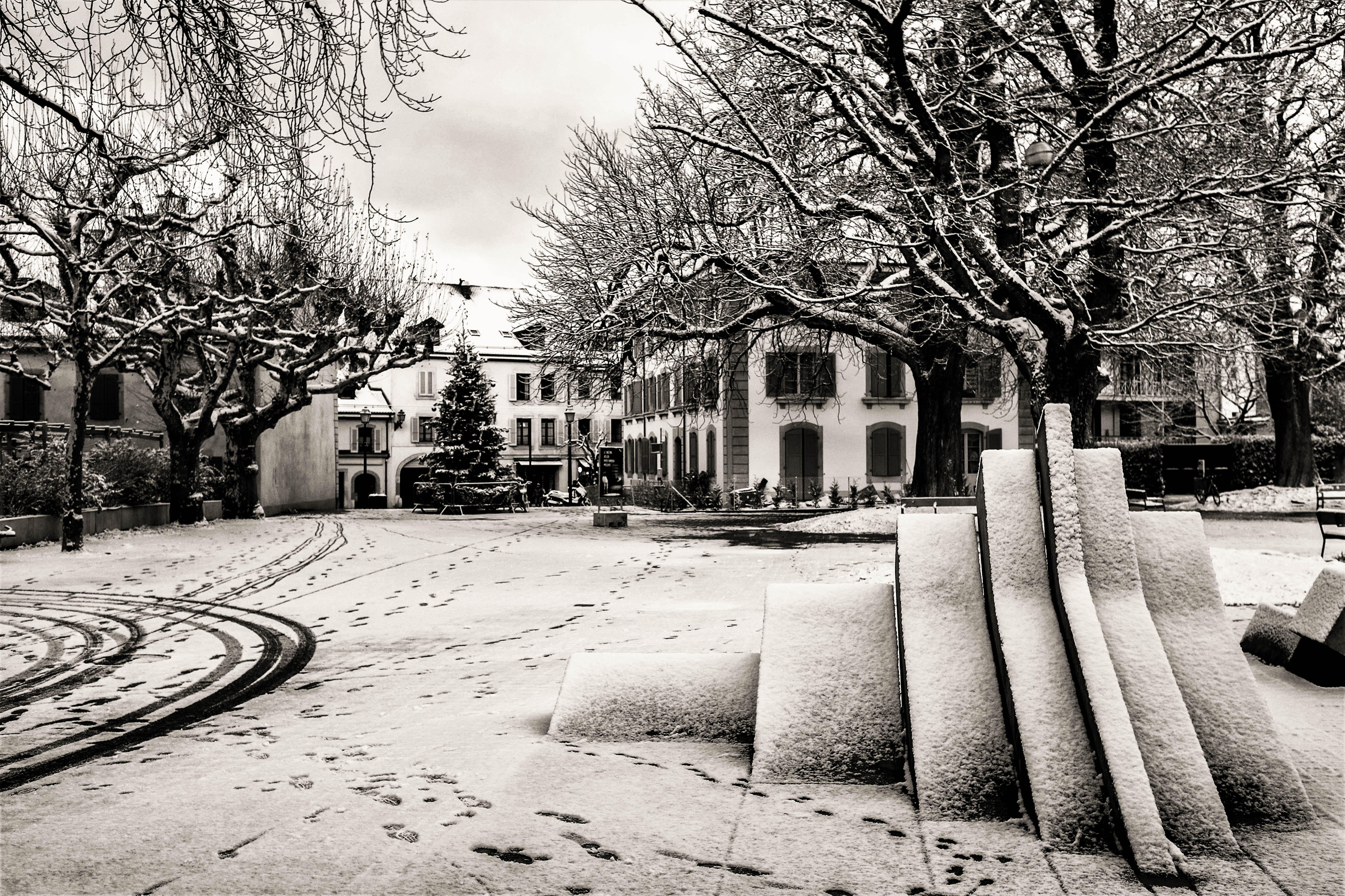 Carouge sous la neige. © Bernard Magnin