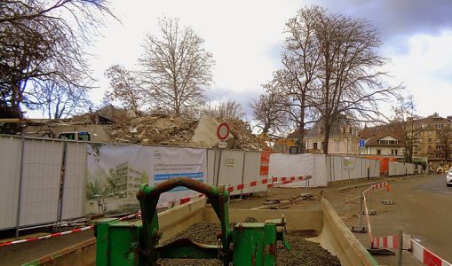 Arbres préservés et arbres replantés à Genève