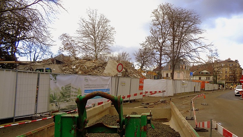 1. Des arbres préservés malgré le chantier  à l'Avenue de Beau-Séjour